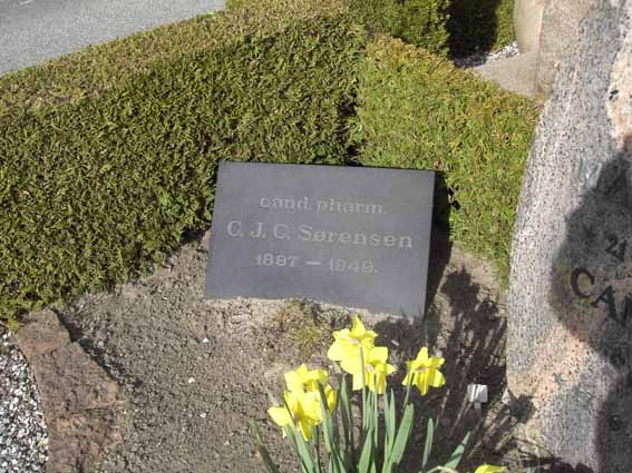 Billede af gravsten på Herning Vestre Kirkegård